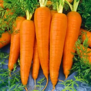 Carrots